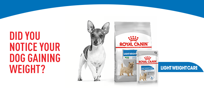 Royal Canin Mini Light Weight Care Adult | MedicAnimal.com
